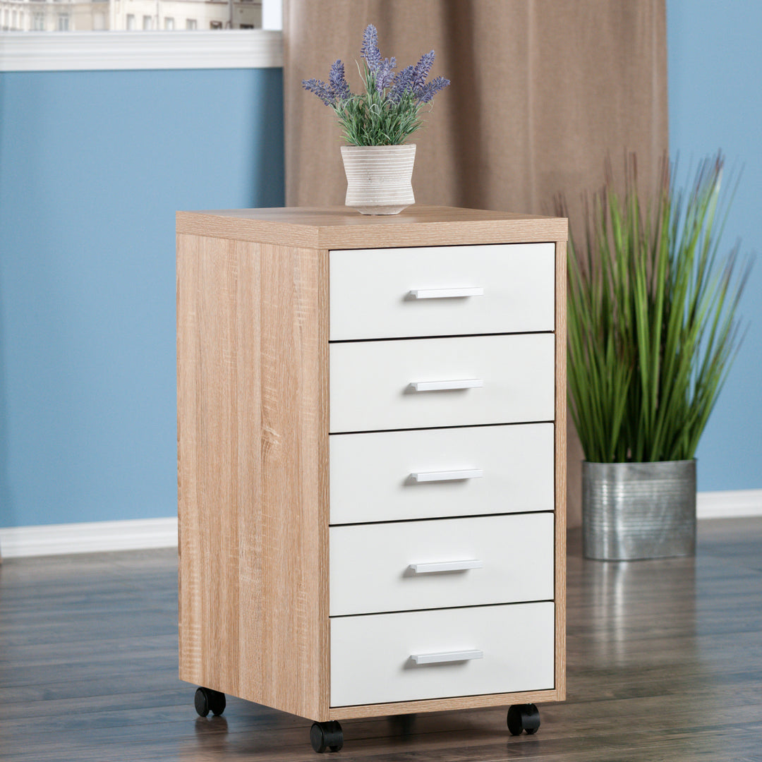 Kenner 5-Drawer Cabinet, Reclaimed Wood and White